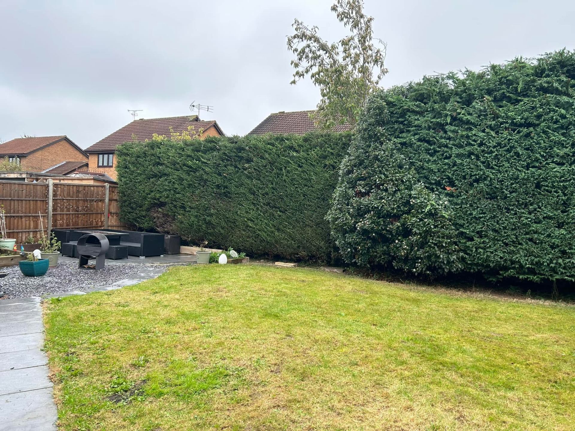 Tree surgery project 6 — after