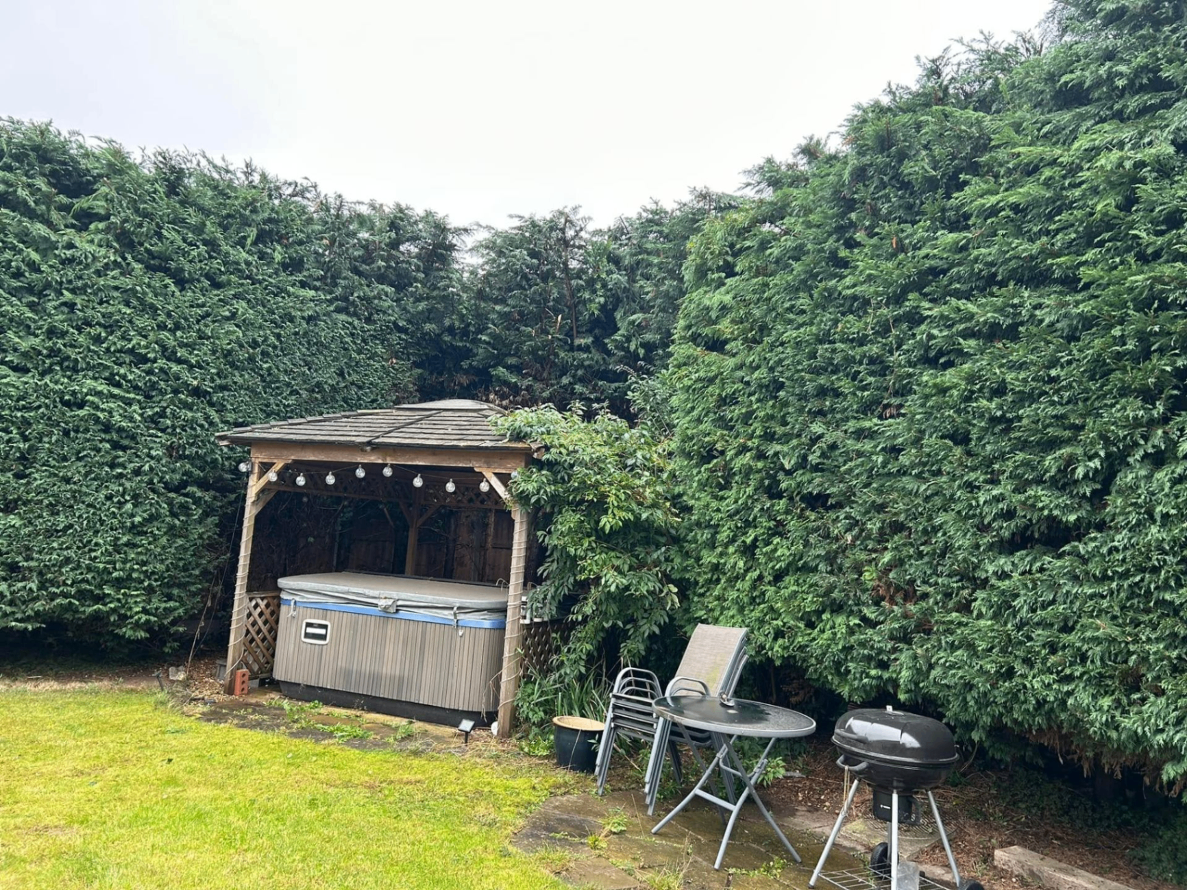 Before and after tree work — after