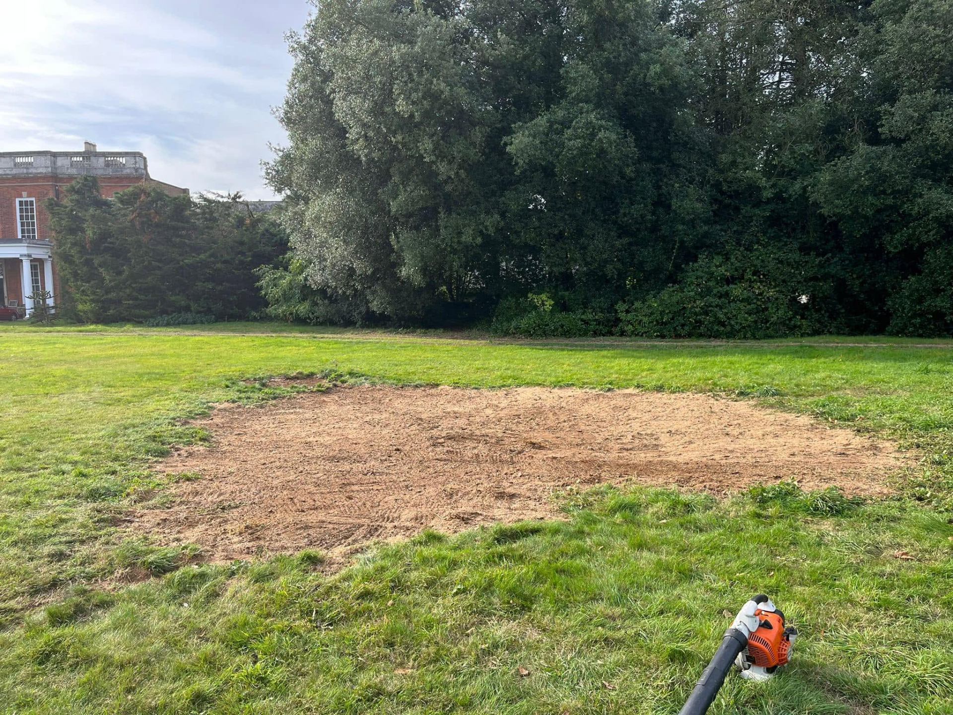 Tree surgery project 1 — after